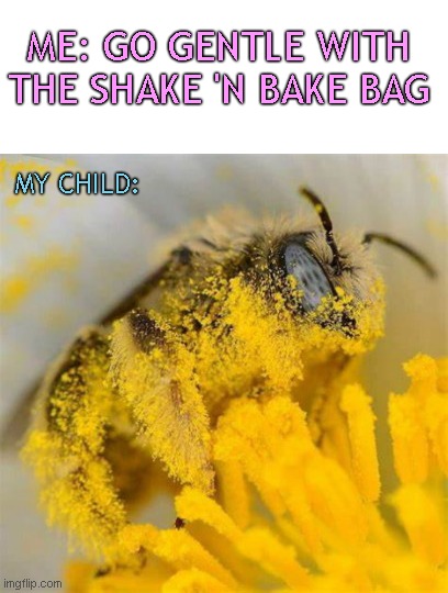 It's Shake 'N Bake and I helped | ME: GO GENTLE WITH THE SHAKE 'N BAKE BAG; MY CHILD: | image tagged in bee covered in pollen,funny kids,family life,children,humor,funny | made w/ Imgflip meme maker