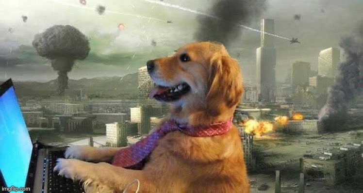 Dog in front of computer in front of war | image tagged in dog in front of computer in front of war | made w/ Imgflip meme maker