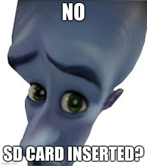 please like | NO; SD CARD INSERTED? | image tagged in memes,megamind | made w/ Imgflip meme maker