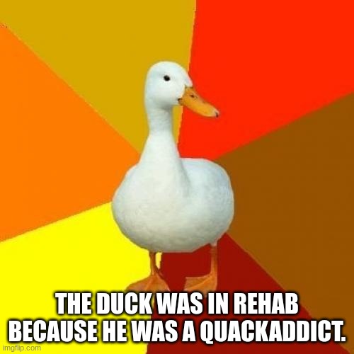Tech Impaired Duck | THE DUCK WAS IN REHAB BECAUSE HE WAS A QUACKADDICT. | image tagged in memes,tech impaired duck,bad pun,funny,ducks | made w/ Imgflip meme maker
