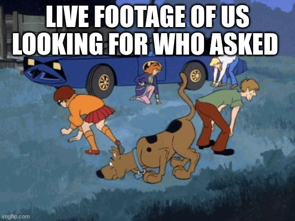 Scooby Doo Search | LIVE FOOTAGE OF US LOOKING FOR WHO ASKED | image tagged in scooby doo search | made w/ Imgflip meme maker