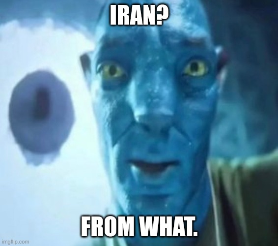 Avatar guy | IRAN? FROM WHAT. | image tagged in avatar guy | made w/ Imgflip meme maker