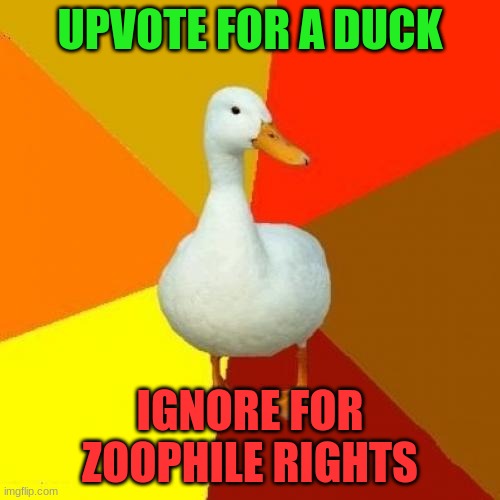 Tech Impaired Duck Meme | UPVOTE FOR A DUCK; IGNORE FOR ZOOPHILE RIGHTS | image tagged in memes,tech impaired duck,begging for upvotes | made w/ Imgflip meme maker