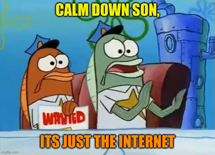 Calm down son | CALM DOWN SON, ITS JUST THE INTERNET | image tagged in calm down son | made w/ Imgflip meme maker