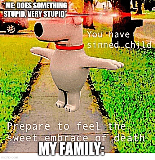 Ever had something like this happen to you? | *ME: DOES SOMETHING STUPID, VERY STUPID*; MY FAMILY: | image tagged in you have sinned child prepare to feel the sweet embrace of death,relatable,real life | made w/ Imgflip meme maker