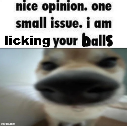 image tagged in memes,funny | made w/ Imgflip meme maker