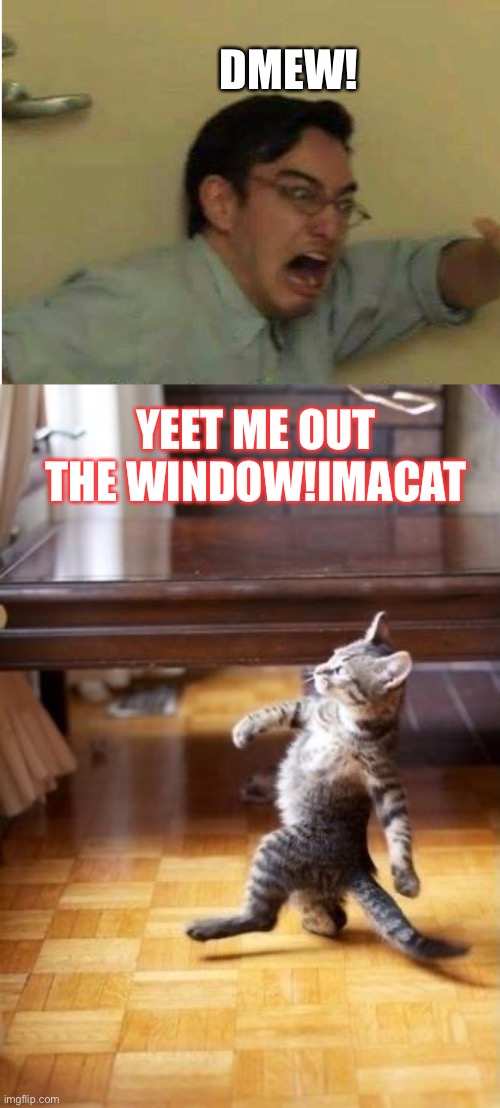 DMEW! YEET ME OUT THE WINDOW!IMACAT | image tagged in erp,memes,cool cat stroll | made w/ Imgflip meme maker