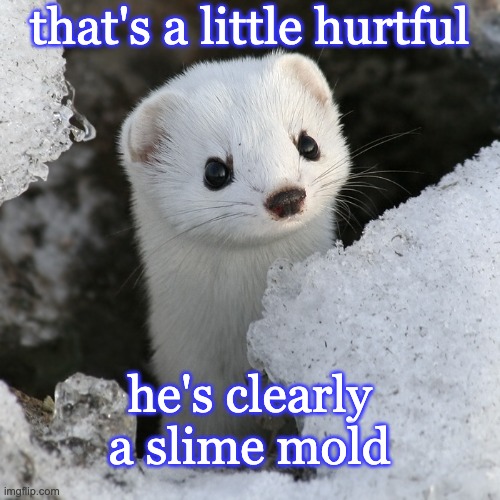 grump weasel | that's a little hurtful he's clearly a slime mold | image tagged in grump weasel | made w/ Imgflip meme maker