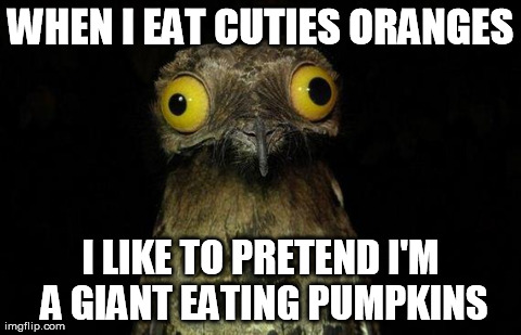 Weird Stuff I Do Potoo Meme | WHEN I EAT CUTIES ORANGES I LIKE TO PRETEND I'M A GIANT EATING PUMPKINS | image tagged in memes,weird stuff i do potoo,AdviceAnimals | made w/ Imgflip meme maker