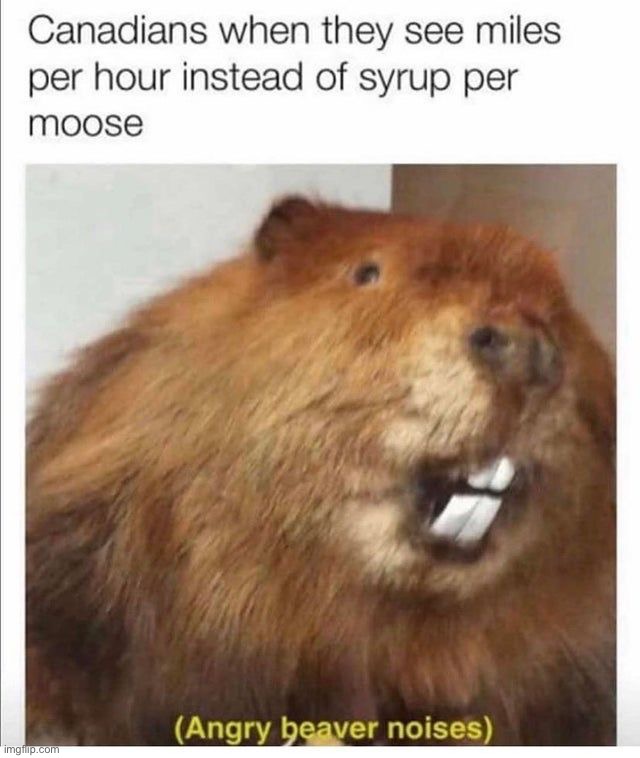 image tagged in memes,funny | made w/ Imgflip meme maker