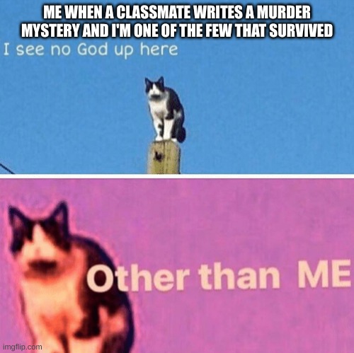 Hail pole cat | ME WHEN A CLASSMATE WRITES A MURDER MYSTERY AND I'M ONE OF THE FEW THAT SURVIVED | image tagged in hail pole cat | made w/ Imgflip meme maker