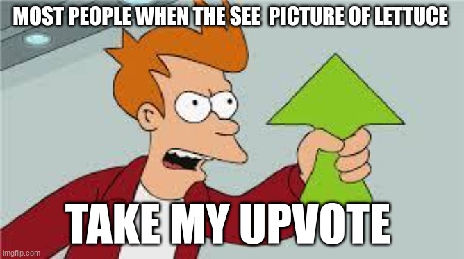 fr | MOST PEOPLE WHEN THE SEE  PICTURE OF LETTUCE; TAKE MY UPVOTE | image tagged in shut up and take my upvote,dank memes,dark humor,oh wow are you actually reading these tags,for real | made w/ Imgflip meme maker