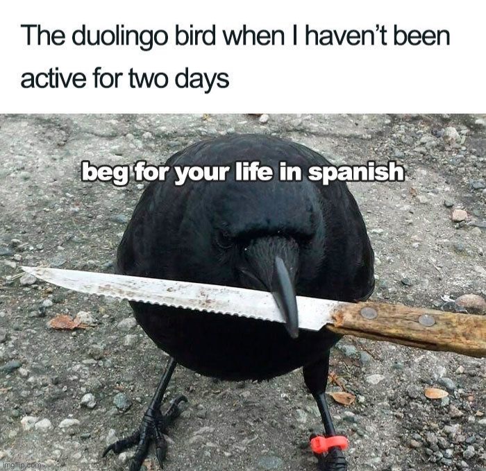 image tagged in memes,funny | made w/ Imgflip meme maker