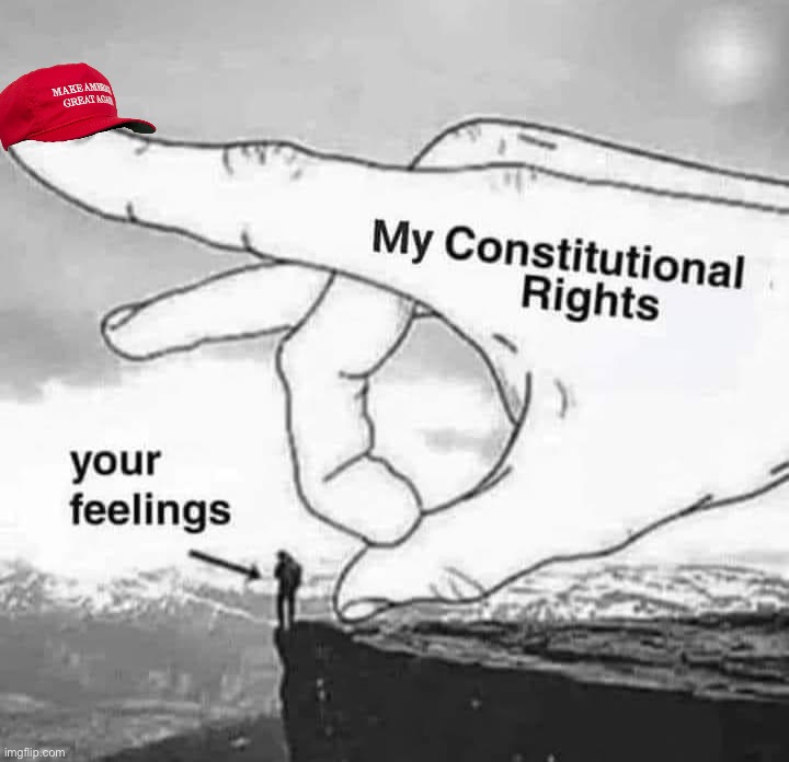 My constitutional rights vs. your feelings | image tagged in my constitutional rights vs your feelings | made w/ Imgflip meme maker