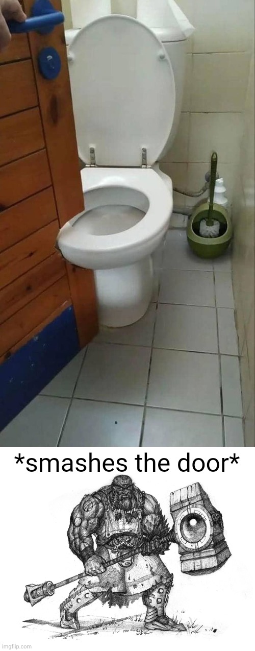 Door toilet | *smashes the door* | image tagged in troll smasher,door,toilet,toilets,you had one job,memes | made w/ Imgflip meme maker