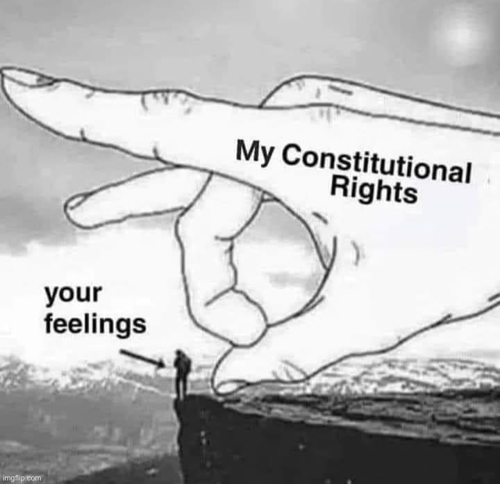 based, maga | image tagged in my constitutional rights vs your feelings,b,a,s,e,d | made w/ Imgflip meme maker