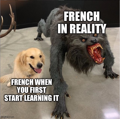 dog vs werewolf | FRENCH IN REALITY; FRENCH WHEN YOU FIRST START LEARNING IT | image tagged in dog vs werewolf | made w/ Imgflip meme maker