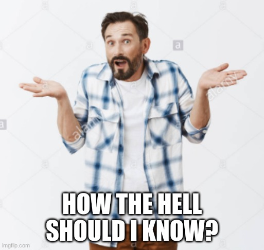 How Should I Know? | HOW THE HELL SHOULD I KNOW? | image tagged in how should i know | made w/ Imgflip meme maker
