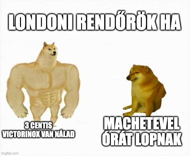 Strong dog vs weak dog | LONDONI RENDŐRÖK HA; 3 CENTIS VICTORINOX VAN NÁLAD; MACHETEVEL ÓRÁT LOPNAK | image tagged in strong dog vs weak dog | made w/ Imgflip meme maker