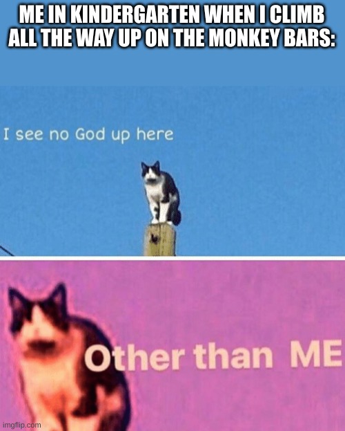 tbh we all thought it | ME IN KINDERGARTEN WHEN I CLIMB ALL THE WAY UP ON THE MONKEY BARS: | image tagged in hail pole cat,school,lol,cat,kindergarten | made w/ Imgflip meme maker