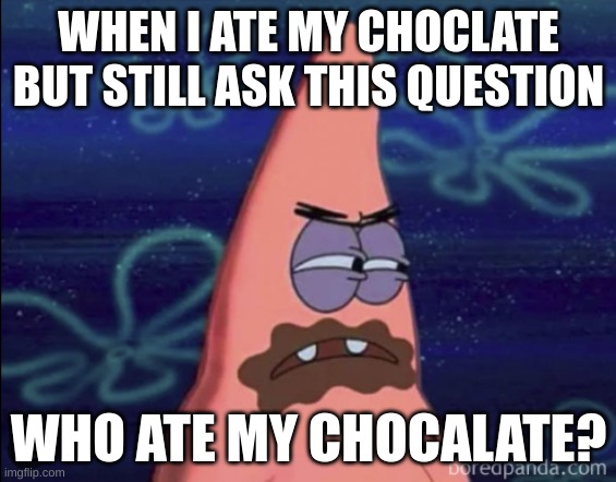 WHEN I ATE MY CHOCLATE BUT STILL ASK THIS QUESTION; WHO ATE MY CHOCALATE? | image tagged in funny memes | made w/ Imgflip meme maker