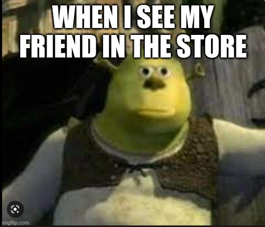 WHEN I SEE MY FRIEND IN THE STORE | image tagged in too funny | made w/ Imgflip meme maker