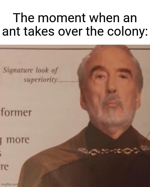 Ant colony | The moment when an ant takes over the colony: | image tagged in signature look of superiority,ant colony,ants,ant,colony,memes | made w/ Imgflip meme maker