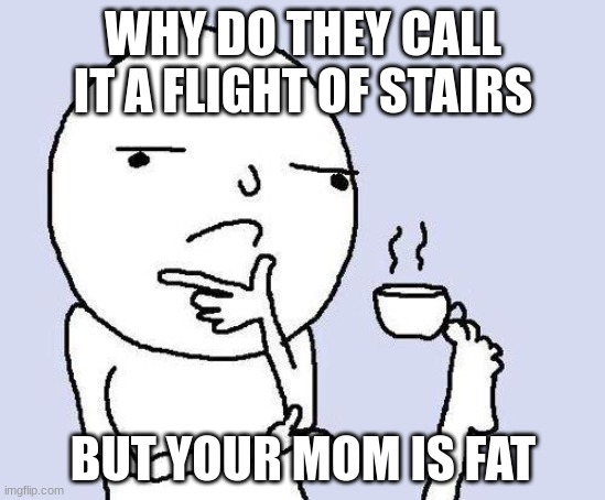 thinking meme | WHY DO THEY CALL IT A FLIGHT OF STAIRS; BUT YOUR MOM IS FAT | image tagged in thinking meme,memes,funny memes,dank memes,hmmm,hmmmm | made w/ Imgflip meme maker