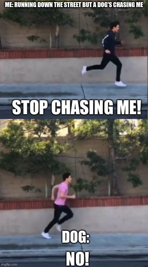 Stop chasing me | ME: RUNNING DOWN THE STREET BUT A DOG'S CHASING ME; DOG: | image tagged in stop chasing me | made w/ Imgflip meme maker