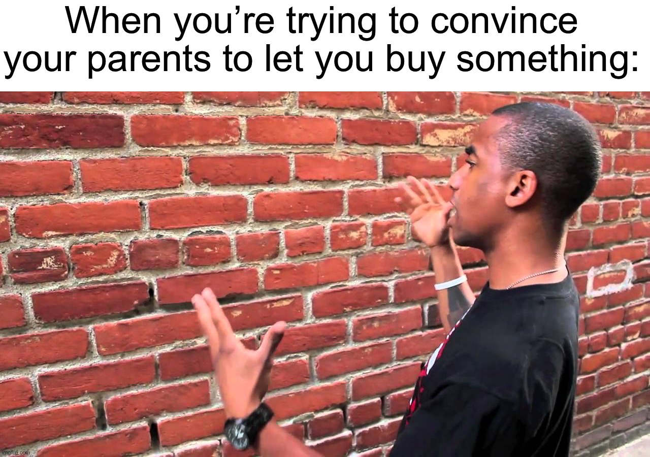I always have to say “oh I did a ton of research” and “this is the best one for my price point” | When you’re trying to convince your parents to let you buy something: | image tagged in talking to wall,memes,funny,true story,relatable memes,parents | made w/ Imgflip meme maker