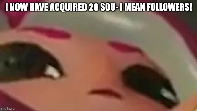 Yayyyyy | I NOW HAVE ACQUIRED 20 SOU- I MEAN FOLLOWERS! | image tagged in splatmeme | made w/ Imgflip meme maker