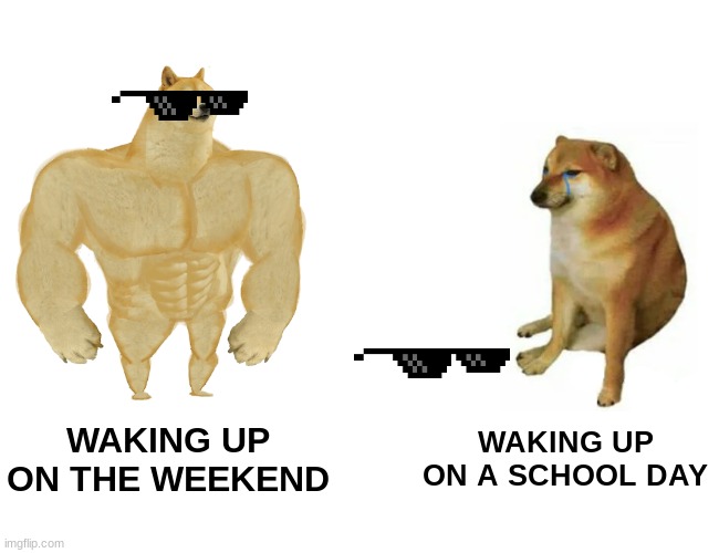 Buff Doge vs. Cheems Meme | WAKING UP
ON THE WEEKEND; WAKING UP
ON A SCHOOL DAY | image tagged in memes,buff doge vs cheems | made w/ Imgflip meme maker