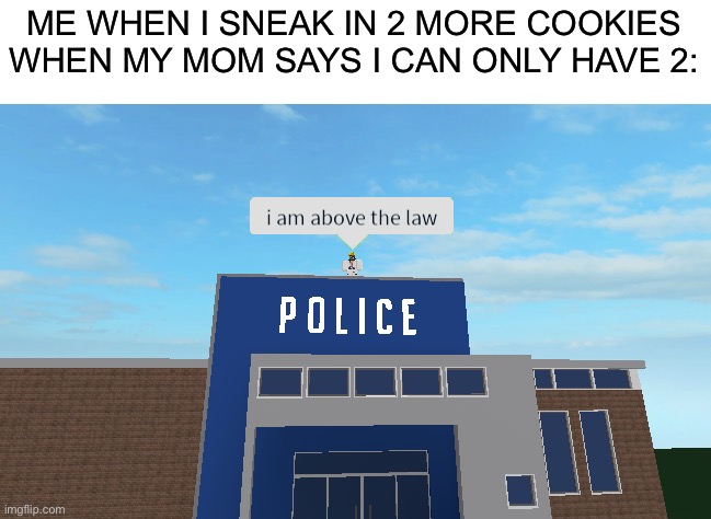 I Did This Before | ME WHEN I SNEAK IN 2 MORE COOKIES WHEN MY MOM SAYS I CAN ONLY HAVE 2: | image tagged in i am above the law,fun | made w/ Imgflip meme maker