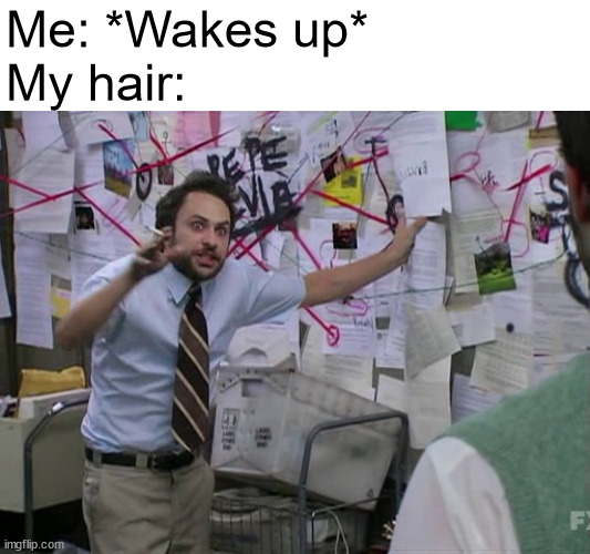 Charlie Conspiracy (Always Sunny in Philidelphia) | Me: *Wakes up*
My hair: | image tagged in charlie conspiracy always sunny in philidelphia | made w/ Imgflip meme maker