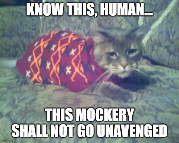 Sweater Cat | KNOW THIS, HUMAN…; THIS MOCKERY SHALL NOT GO UNAVENGED | image tagged in sweater cat | made w/ Imgflip meme maker