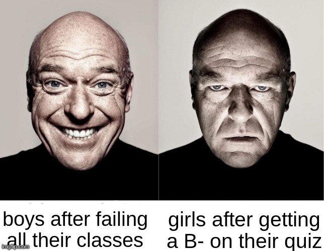 breking bar | girls after getting a B- on their quiz; boys after failing all their classes | image tagged in breaking bad smile frown | made w/ Imgflip meme maker