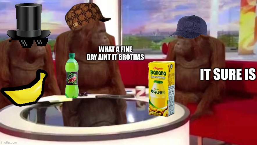 Remake of my most viewed meme | WHAT A FINE DAY AINT IT BROTHAS; IT SURE IS | image tagged in where monkey | made w/ Imgflip meme maker