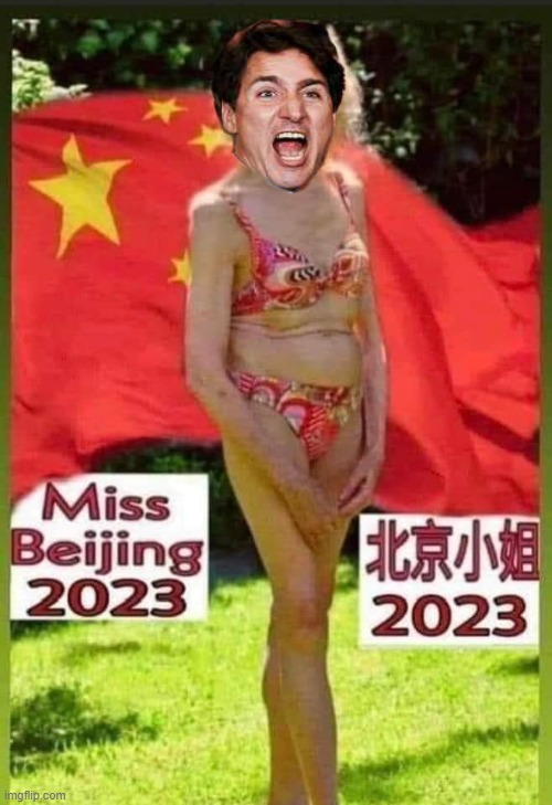 President XI's other Bitch, Prime Minister of  Canada. | image tagged in justin trudeau,canada,china,prime minister | made w/ Imgflip meme maker