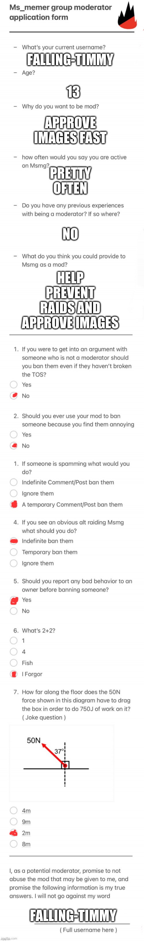 UPDATED MSMG MOD FORM | 13; FALLING-TIMMY; APPROVE IMAGES FAST; PRETTY OFTEN; NO; HELP PREVENT RAIDS AND APPROVE IMAGES; FALLING-TIMMY | image tagged in updated msmg mod form | made w/ Imgflip meme maker