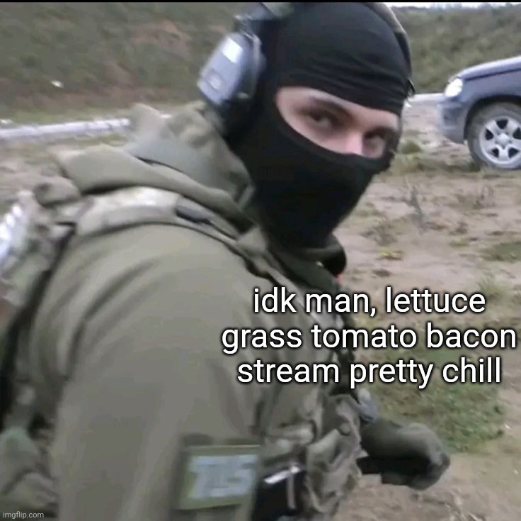 . | idk man, lettuce grass tomato bacon stream pretty chill | made w/ Imgflip meme maker