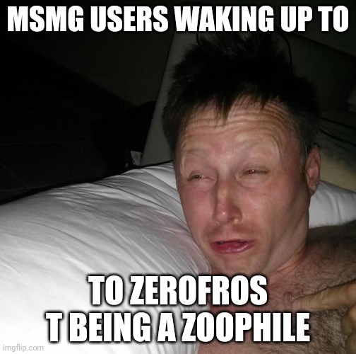 Limmy waking up | MSMG USERS WAKING UP TO; TO ZEROFROS T BEING A ZOOPHILE | image tagged in limmy waking up | made w/ Imgflip meme maker