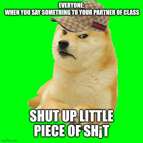 this meme is not meant to offend anyone and blah blah blah | EVERYONE:
 WHEN YOU SAY SOMETHING TO YOUR PARTNER OF CLASS; SHUT UP LITTLE PIECE OF SH¡T | image tagged in doge,class,school | made w/ Imgflip meme maker