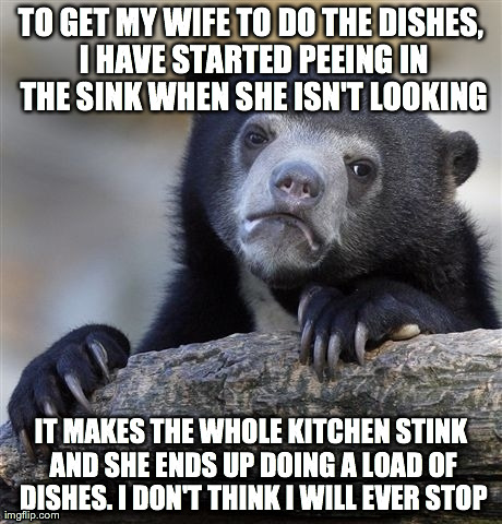 Confession Bear | TO GET MY WIFE TO DO THE DISHES, I HAVE STARTED PEEING IN THE SINK WHEN SHE ISN'T LOOKING IT MAKES THE WHOLE KITCHEN STINK AND SHE ENDS UP D | image tagged in memes,confession bear,AdviceAnimals | made w/ Imgflip meme maker