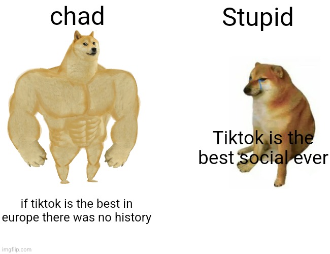 Buff Doge vs. Cheems Meme | chad; Stupid; Tiktok is the best social ever; if tiktok is the best in europe there was no history | image tagged in memes,buff doge vs cheems,geography,history | made w/ Imgflip meme maker