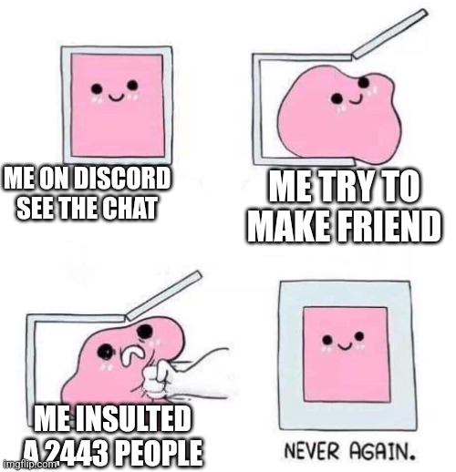 Neverrrrr | ME ON DISCORD SEE THE CHAT; ME TRY TO MAKE FRIEND; ME INSULTED A 2443 PEOPLE | image tagged in never again | made w/ Imgflip meme maker