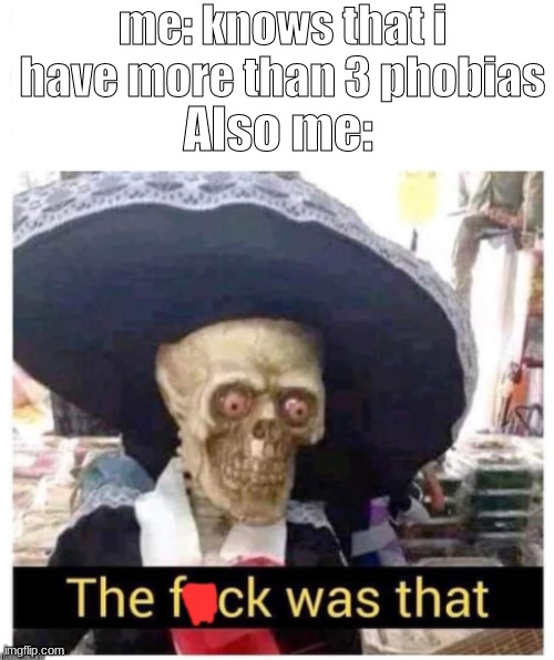 The f*ck was that skeleton | me: knows that i have more than 3 phobias; Also me: | image tagged in the f ck was that skeleton | made w/ Imgflip meme maker