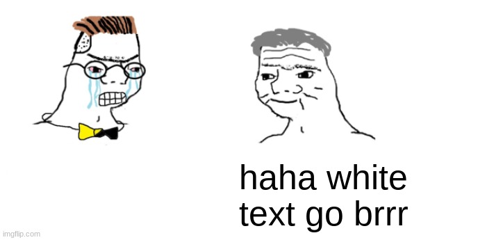 antimeme? | NOOOO YOU CANT JUST CHANGE THE TEXT COLOR TO WHITE, NO ONE WILL SEE IT! haha white text go brrr | image tagged in nooo haha go brrr | made w/ Imgflip meme maker