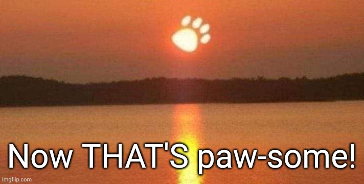 Mmm yes | Now THAT'S paw-some! | made w/ Imgflip meme maker