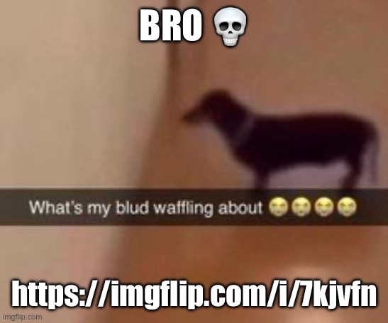 What's my blud waffling about | BRO 💀; https://imgflip.com/i/7kjvfn | image tagged in what's my blud waffling about | made w/ Imgflip meme maker
