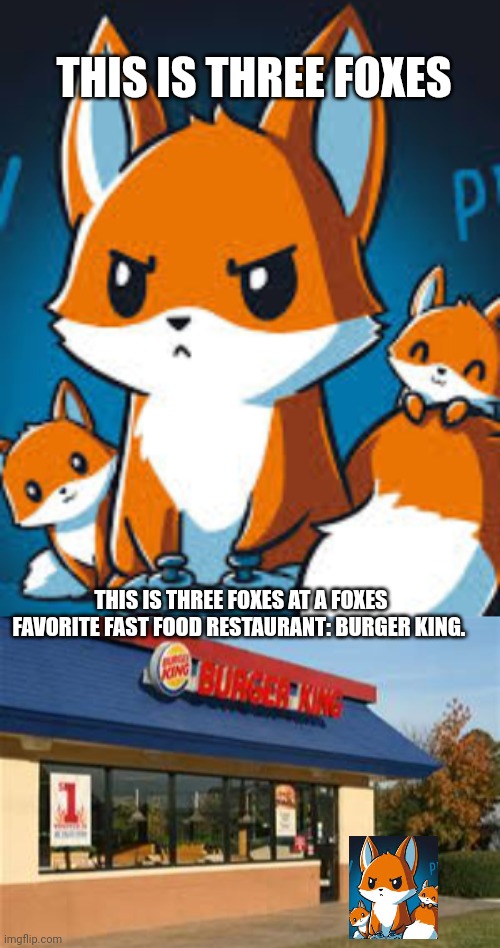 Please learn important fox facts | THIS IS THREE FOXES; THIS IS THREE FOXES AT A FOXES FAVORITE FAST FOOD RESTAURANT: BURGER KING. | image tagged in burger king,fox,facts | made w/ Imgflip meme maker